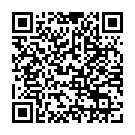 To view this 2009 Volkswagen GTI W12 650 from autoSTRADAdemo1, please scan this QR code with your smartphone or tablet to view the mobile version of this page.